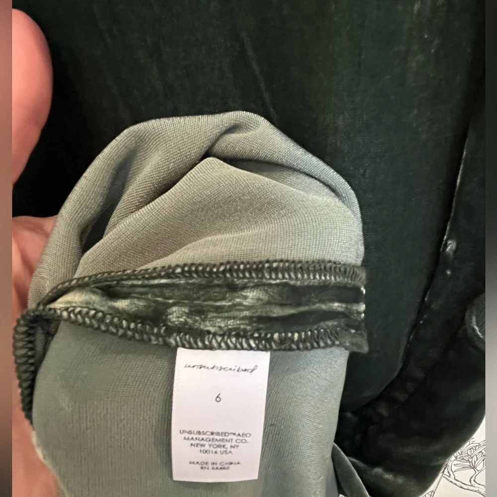🆕 Green Velvet Silk Dress by Unsubscribed - Picture 7 of 10